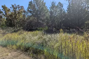 11240 Fool Duck Ave, Weeki Wachee, FL 34613 - Photo 1