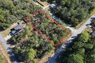 3015 E May St, Inverness, FL 34453 - Photo 1