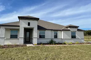 10064 Dolphin Gull Cir, Thonotosassa, FL 33592 - Photo 1