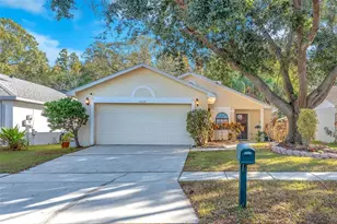 10838 Peppersong Dr, Riverview, FL 33578 - Photo 1