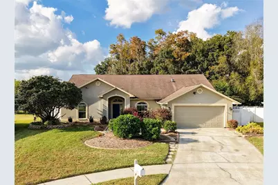 26203 Corkwood Court, Land O Lakes, FL 34639 - Photo 1