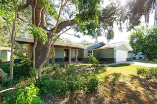 513 Oakwood Blvd, Oldsmar, FL 34677 - Photo 1