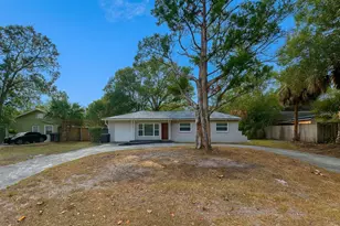 11314 N Blvd St, Tampa, FL 33612 - Photo 1