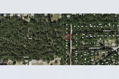 10452 N Dunedin Rd, Dunnellon, FL 34433 - Photo 1