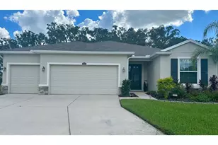 10931 Fallon Haze Cir, San Antonio, FL 33576 - Photo 1