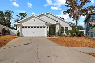 11112 Goldenrod Fern Dr, Riverview, FL 33569 - Photo 1