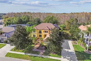 3811 Ivydale Ct, Land O Lakes, FL 34638 - Photo 1
