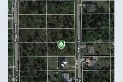 717 McArthur Avenue, Lehigh Acres, FL 33936 - Photo 1
