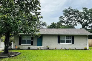 703 Chadsworth Ave, Seffner, FL 33584 - Photo 1