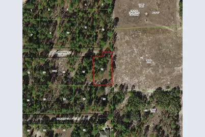 6020 W Ann Marie Court, Dunnellon, FL 34433 - Photo 1