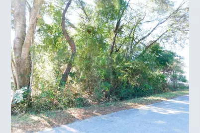 Se 135th Lane, Belleview, FL 34420 - Photo 1