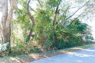 SE 135th Ln, Belleview, FL 34420 - Photo 1