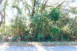 SE 135th Ln, Belleview, FL 34420 - Photo 1