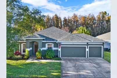 28701 Falling Leaves Way, Wesley Chapel, FL 33543 - Photo 1