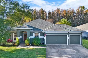 28701 Falling Leaves Way, Wesley Chapel, FL 33543 - Photo 1