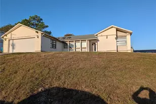 5327 Baldock Ave, Spring Hill, FL 34608 - Photo 1