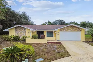 3545 Snowy Egret Ct, Palm Harbor, FL 34683 - Photo 1