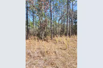 4379 N Baywood Drive, Beverly Hills, FL 34465 - Photo 1