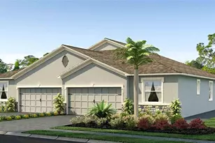 31365 Paper Birch St, Wesley Chapel, FL 33545 - Photo 1