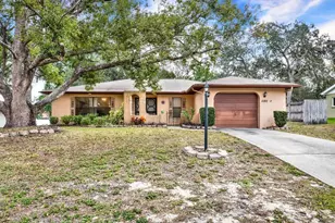 1180 MacFarlane Ave, Spring Hill, FL 34608 - Photo 1