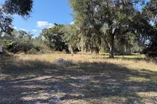 Mohawk St, Mascotte, FL 34753 - Photo 1