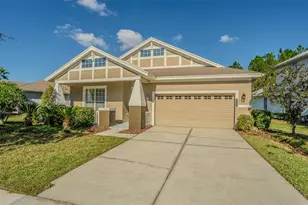20002 Heritage Point Dr, Tampa, FL 33647 - Photo 1