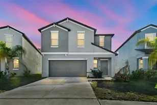 5157 White Chicory Dr, Apollo Beach, FL 33572 - Photo 1