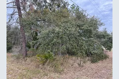 10439 Gypsy Avenue, Weeki Wachee, FL 34613 - Photo 1