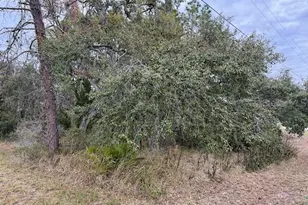 10439 Gypsy Ave, Weeki Wachee, FL 34613 - Photo 1