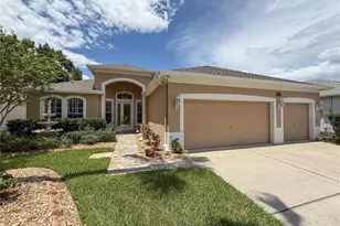 11610 Grove Arcade Dr, Riverview, FL 33569 - Photo 1