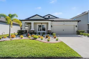30747 Parrot Reef Ct, Wesley Chapel, FL 33545 - Photo 1