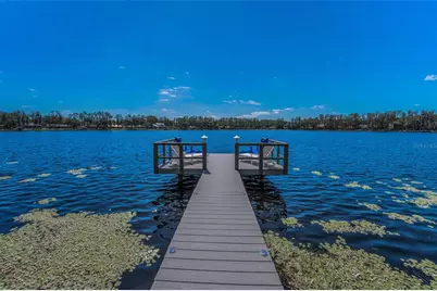 16019 Chastain Road, Odessa, FL 33556 - Photo 1