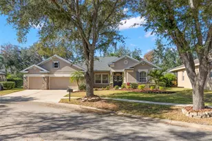 15321 Vireoglen Ln, Lithia, FL 33547 - Photo 1