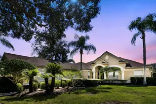 19103 Centre Rose Blvd, Lutz, FL 33558 - Photo 1