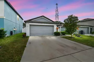 10248 Carloway Hills Dr, Wimauma, FL 33598 - Photo 1
