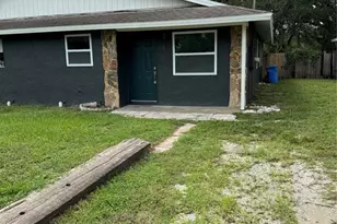 3818 Valley Tree Dr, Tampa, FL 33610 - Photo 1