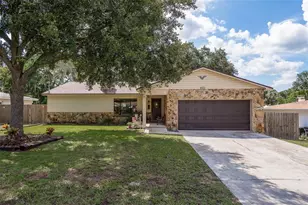 18619 Yocam Ave, Lutz, FL 33549 - Photo 1
