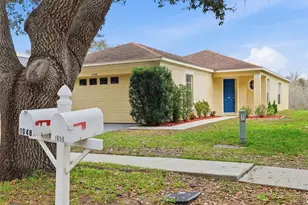 1048 Lake Shore Ranch Dr, Seffner, FL 33584 - Photo 1