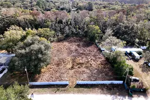 12620 McBride Rd, Spring Hill, FL 34610 - Photo 1