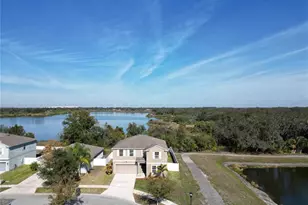 12631 Flatwood Creek Dr, Gibsonton, FL 33534 - Photo 1
