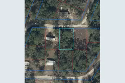 000 NE 1st Street, Williston, FL 32696 - Photo 1