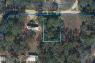 000 NE 1st St, Williston, FL 32696 - Photo 1