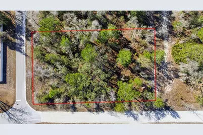 12217 House Finch Road, Weeki Wachee, FL 34614 - Photo 1