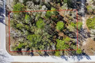 12217 House Finch Rd, Weeki Wachee, FL 34614 - Photo 1