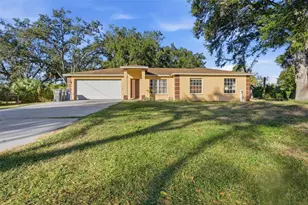 9911 Davis St, Gibsonton, FL 33534 - Photo 1