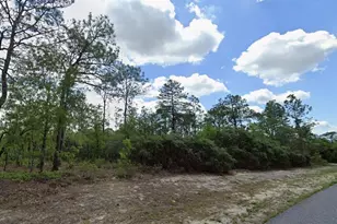 9221 N Paradisea Dr, Citrus Springs, FL 34433 - Photo 1