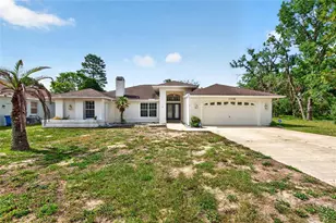 17338 Mediterranean Cir, Weeki Wachee, FL 34614 - Photo 1