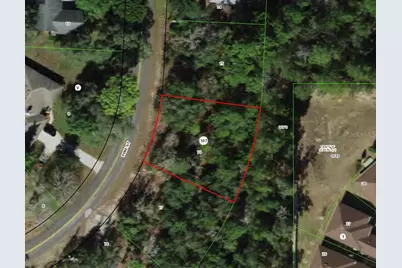 151 Pine Street, Homosassa, FL 34446 - Photo 1