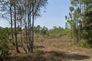 919 Euclid Ave, Lehigh Acres, FL 33972 - Photo 1
