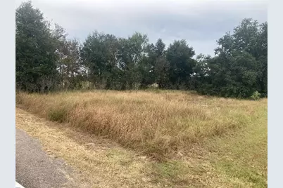 3231 Mountain Lake Cutoff Road, Lake Wales, FL 33859 - Photo 1